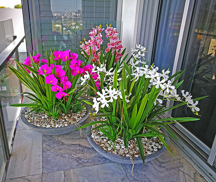 Colour & Greenery brighten-up penthouse balcony image 6