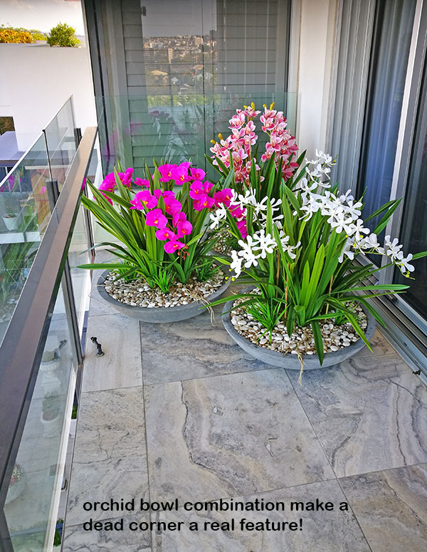 Colour & Greenery brighten-up penthouse balcony image 5