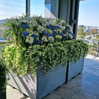 Colour & Greenery brighten-up penthouse balcony poplet image 7