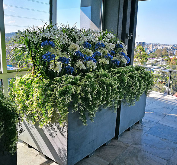Colour & Greenery brighten-up penthouse balcony