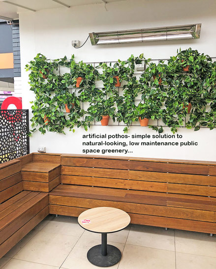 Simple 'Greenification' of Bar area using Vines on wall...