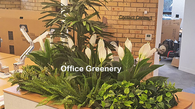New offices with a green shine...
