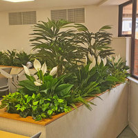 New offices with a green shine... poplet image 6