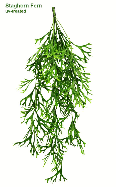 Articial Plants - UV-Trailer: Staghorn Fern 70cm