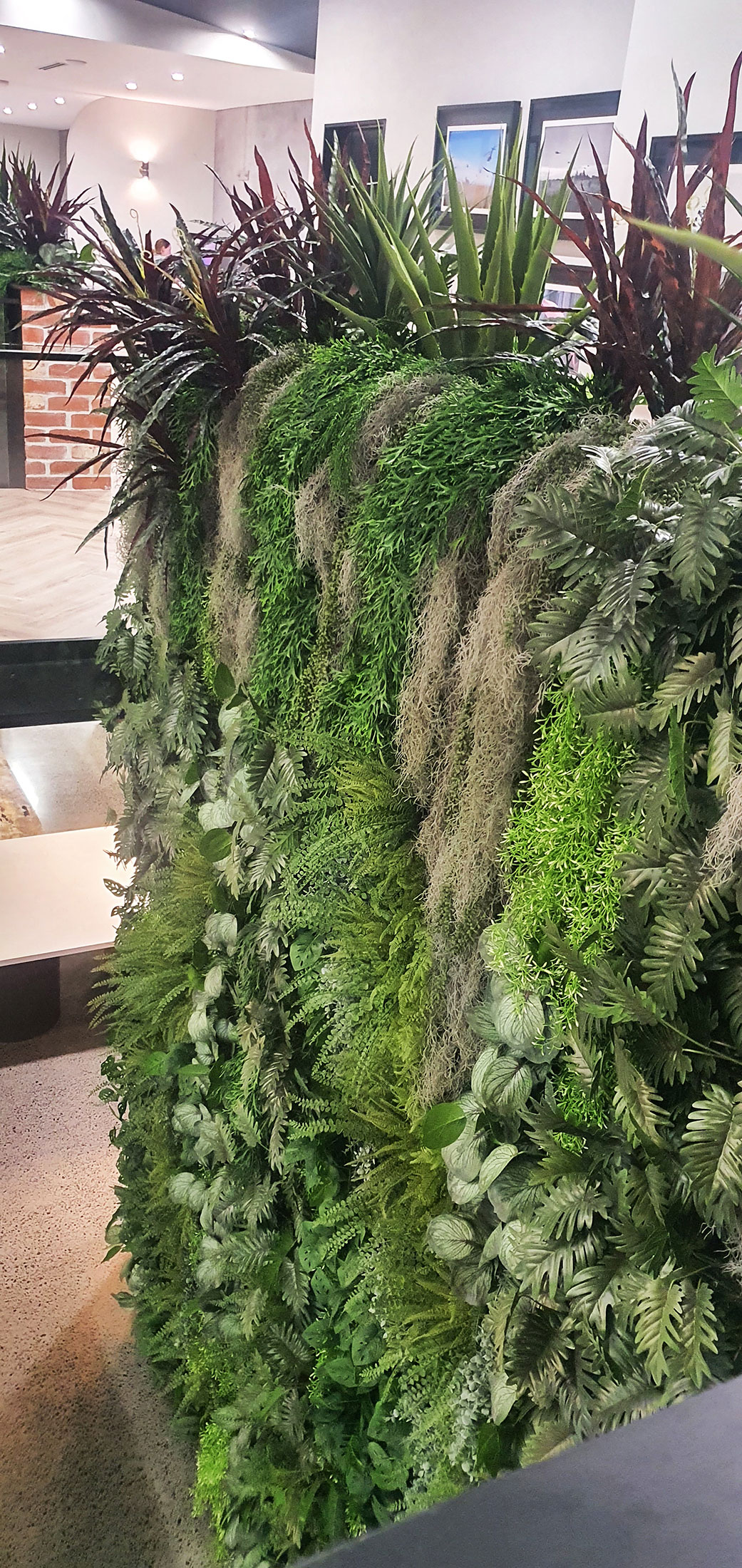 a wild green wall with plants cascading from planter-box above.