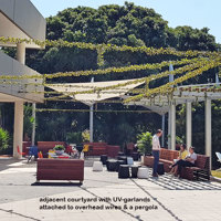 Full-Sun artificial Vines in exposed office complex courtyard... poplet image 7