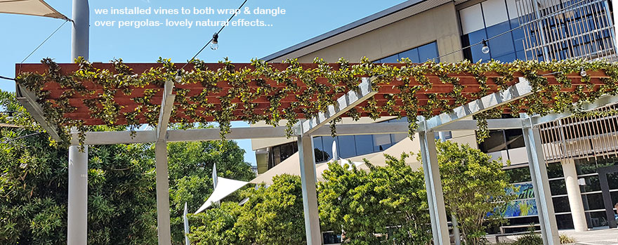 Full-Sun artificial Vines in exposed office complex courtyard... image 3