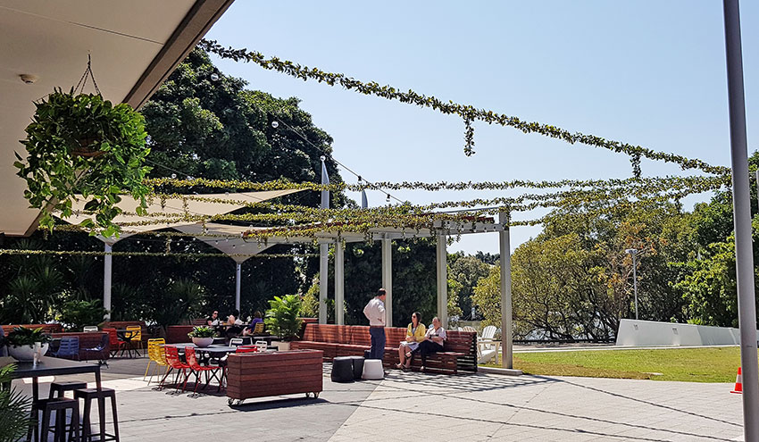 Full-Sun artificial Vines in exposed office complex courtyard... image 7