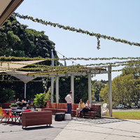 Full-Sun artificial Vines in exposed office complex courtyard... poplet image 6