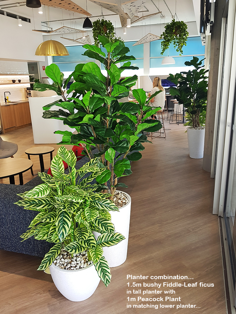 Green accents help unify adjacent office spaces... image 4