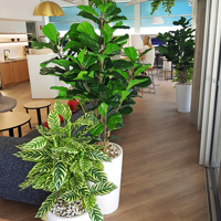Green accents help unify adjacent office spaces... poplet image 3