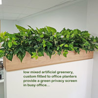 Small privacy planters in office... poplet image 6
