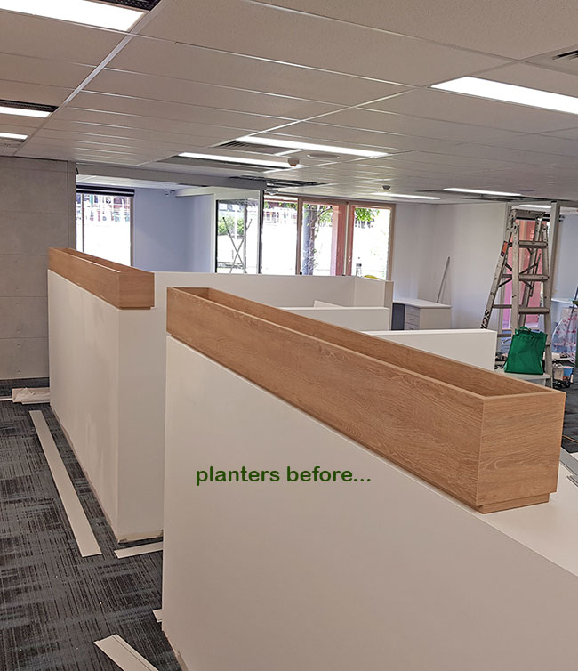 Small privacy planters in office... image 2