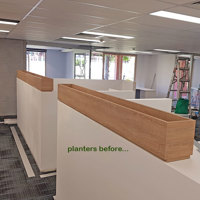 Small privacy planters in office... poplet image 1