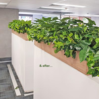 Small privacy planters in office... poplet image 2