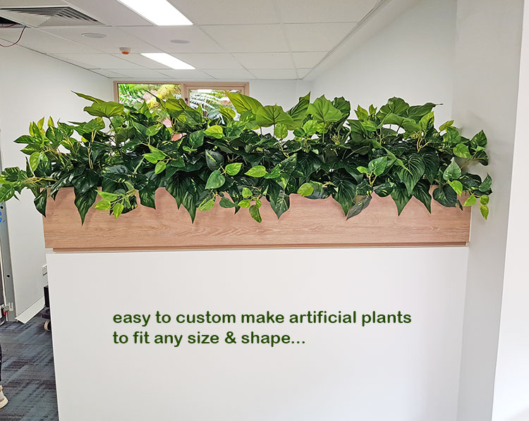 Small privacy planters in office... image 4
