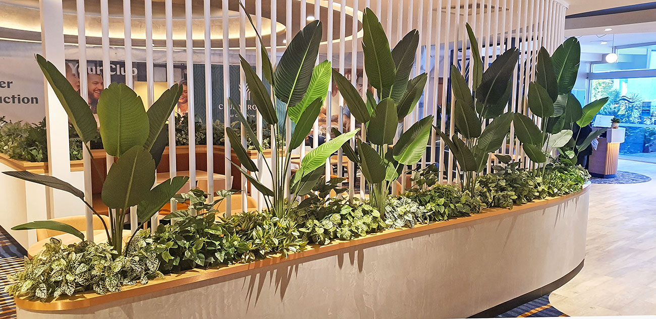 Club entry planter with Palms 