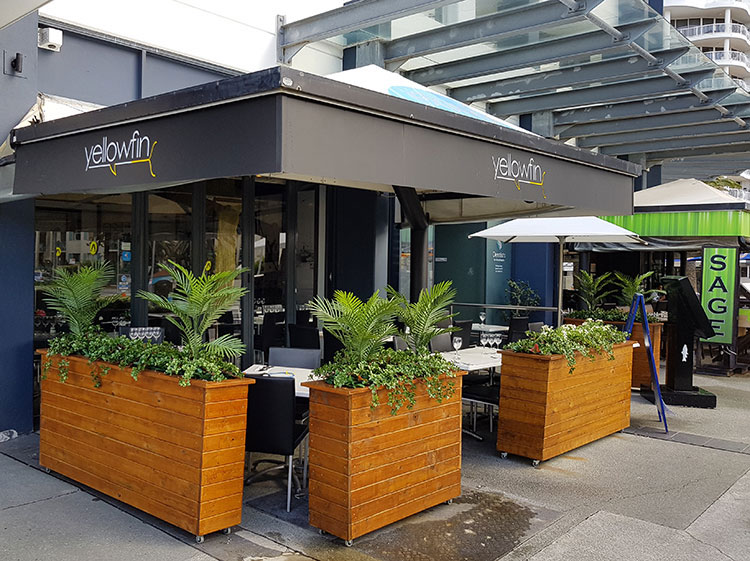 low UV-rated plants in bistro barriers