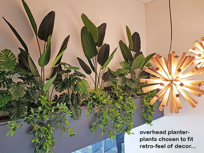 Retro-design Office planters get matching plants image 3