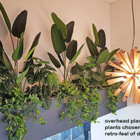 Retro-design Office planters get matching plants poplet image 2